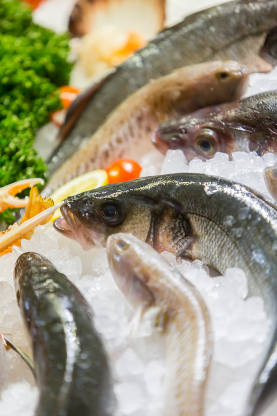Envíos de pescado