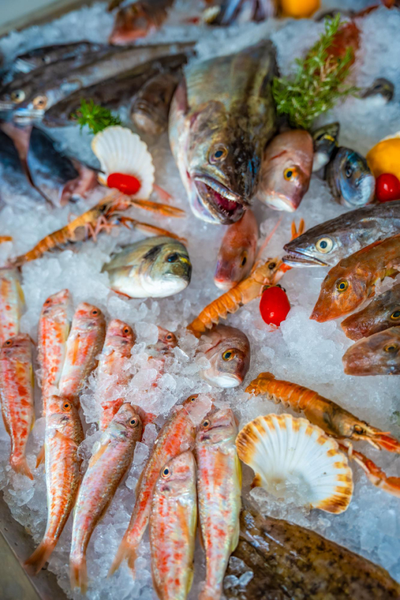 Pescado de calidad